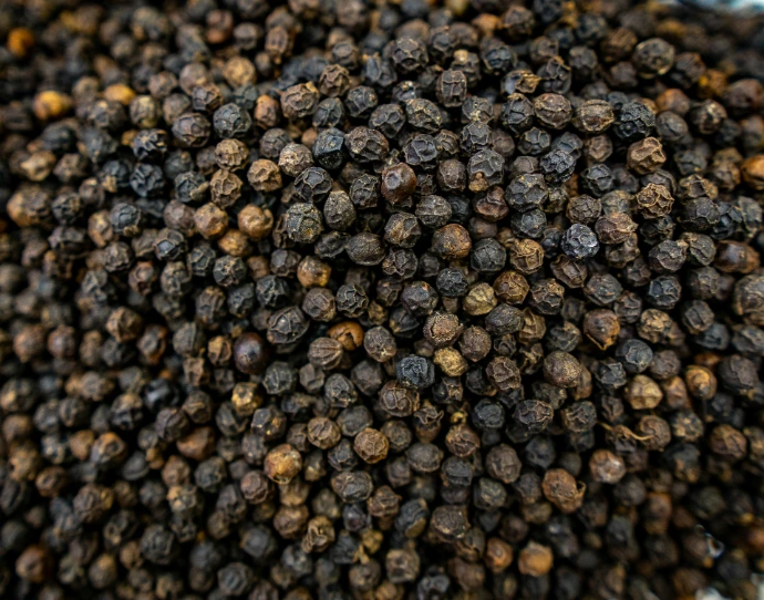 A close-up of dried black peppercorns.