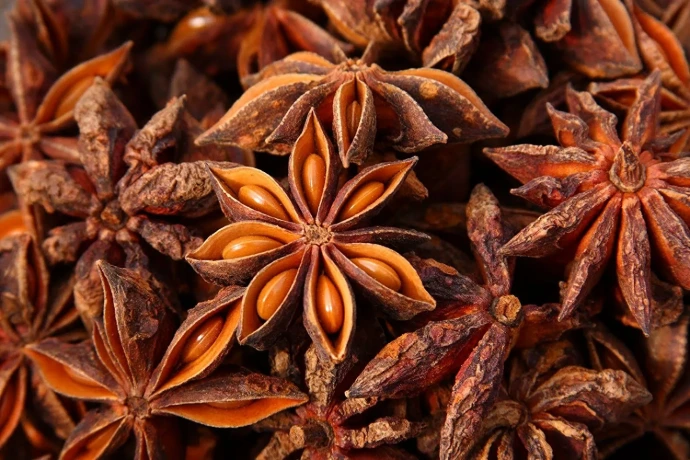 Export Quality Indian Star Anise - Spices.
